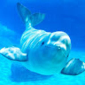 Meet your Posher, Gabrielle